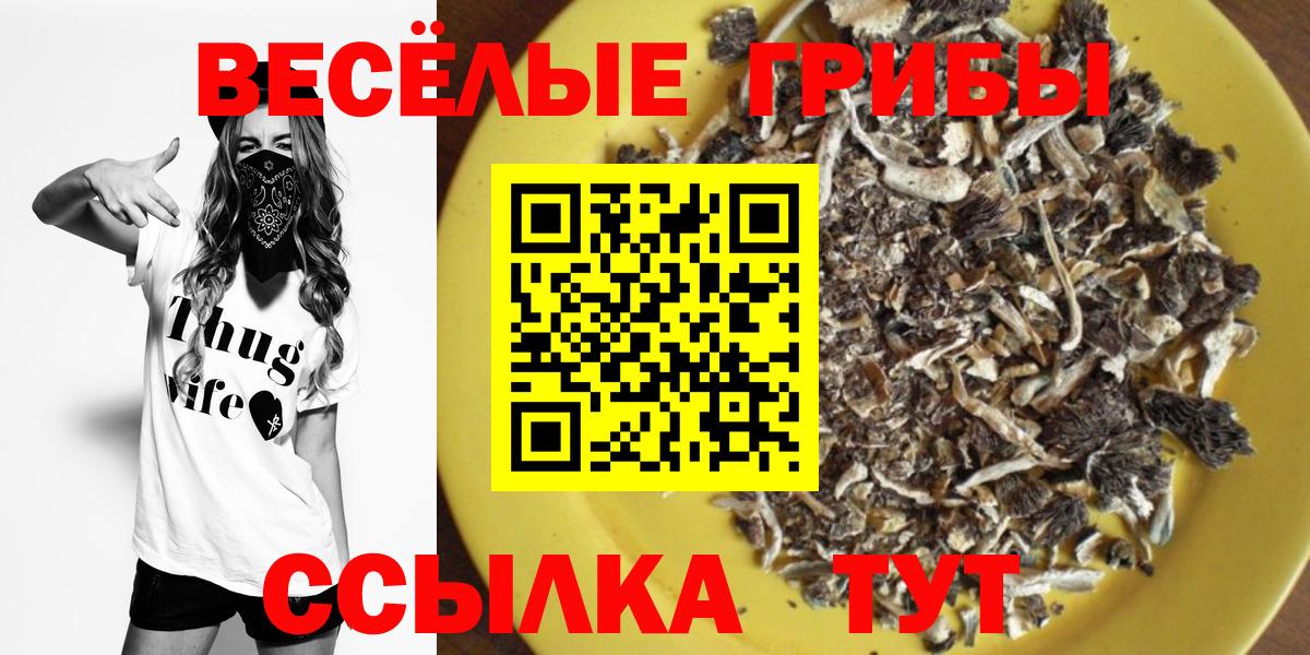 Псилоцибиновые грибы Magic Shrooms Искитим