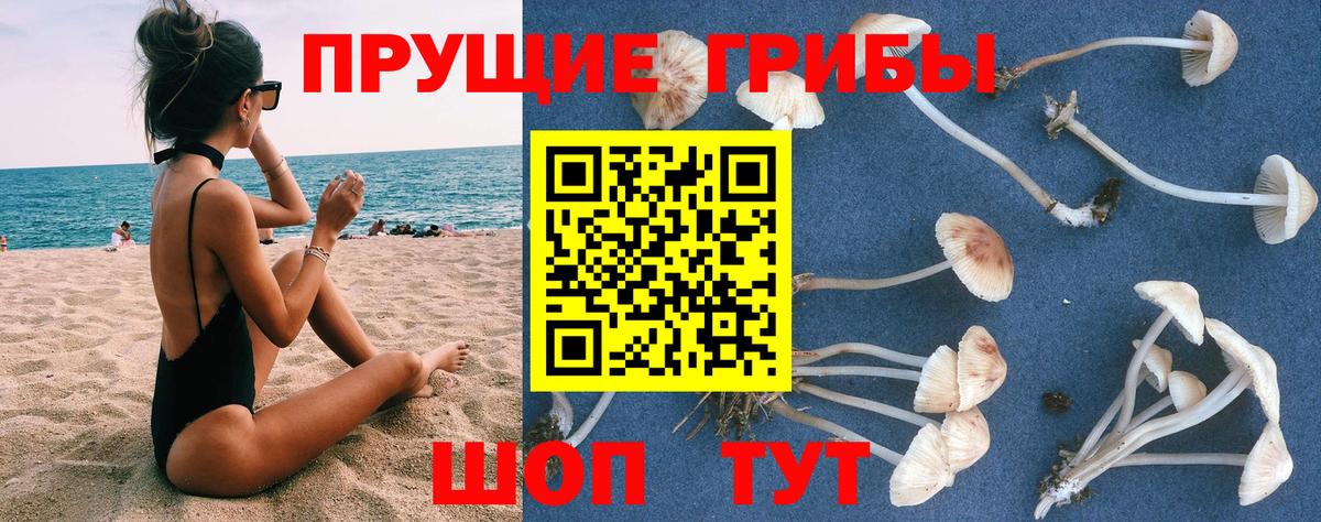 Cocaine  Искитим  Конопля  Меф МЯУ МЯУ   ГАШИШ  Вход с VPN 